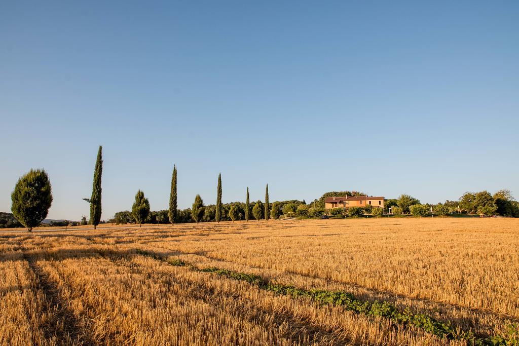 Agriturismo Il Tiro Castel del Piano  Exteriör bild