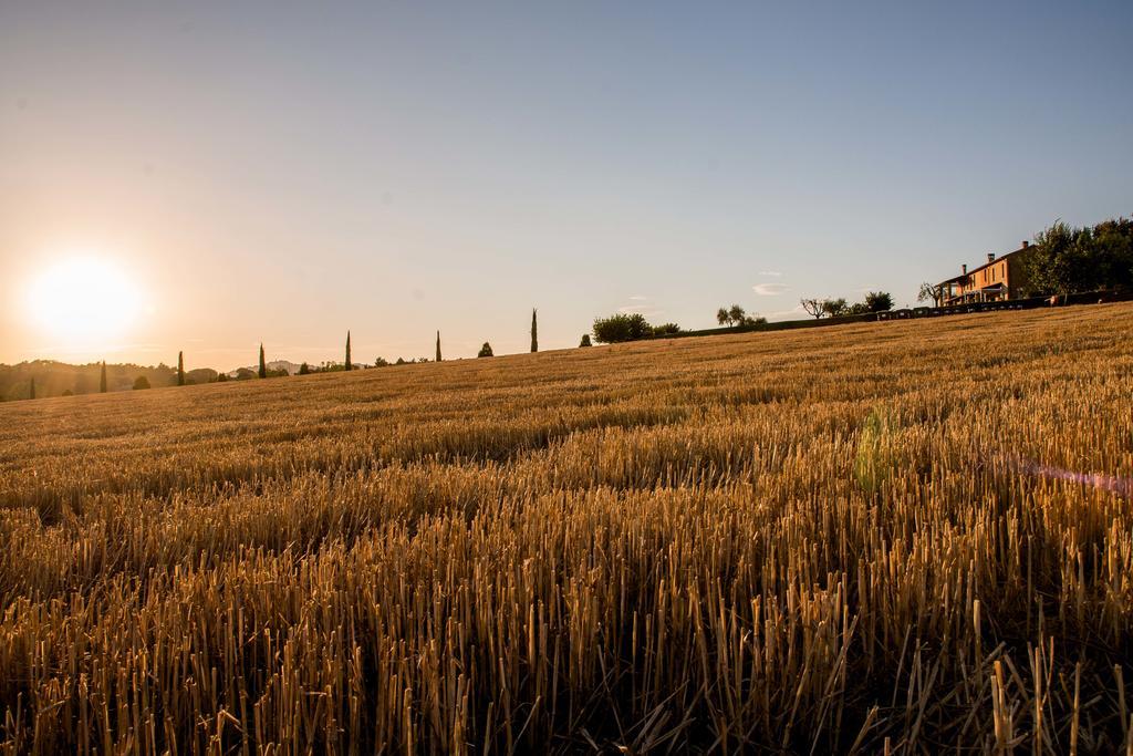 Agriturismo Il Tiro Castel del Piano  Exteriör bild